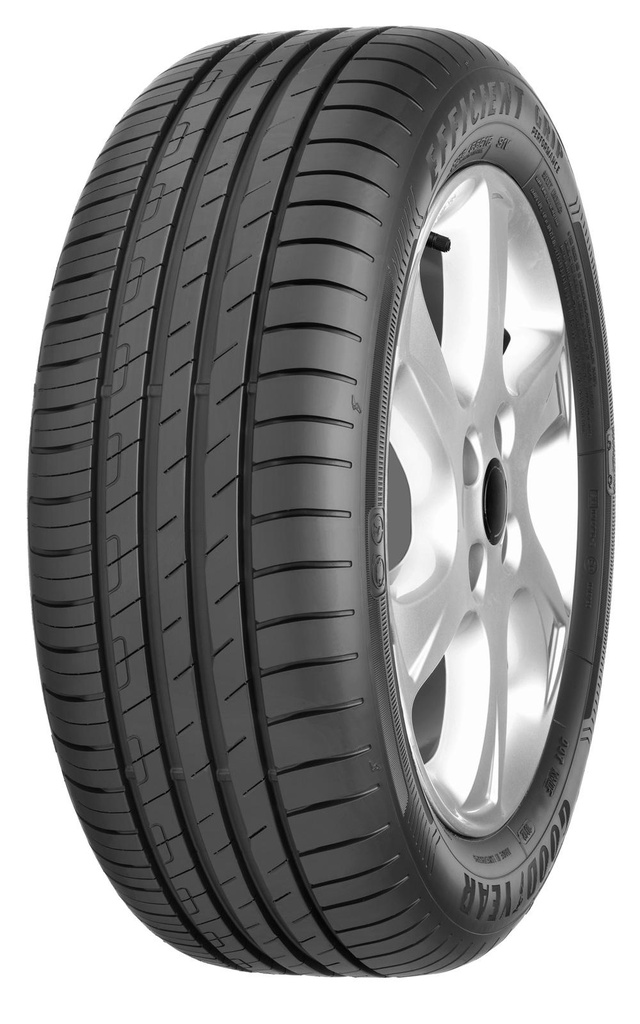 215/50R19 93T GOODYEAR EFFICIENTGRIP PERFORMANCE (+)|EDT