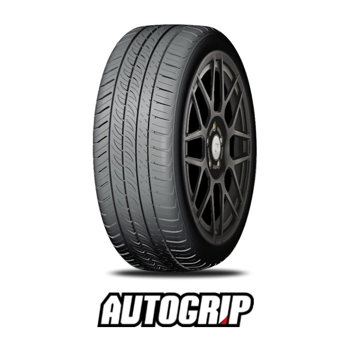 185/55R15 82V AUTOGRIP P308 PLUS