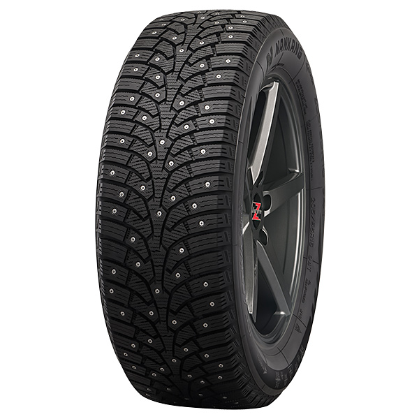 255/40R20 101T NANKANG ICE ACTIVA GRIP SW-9 XL