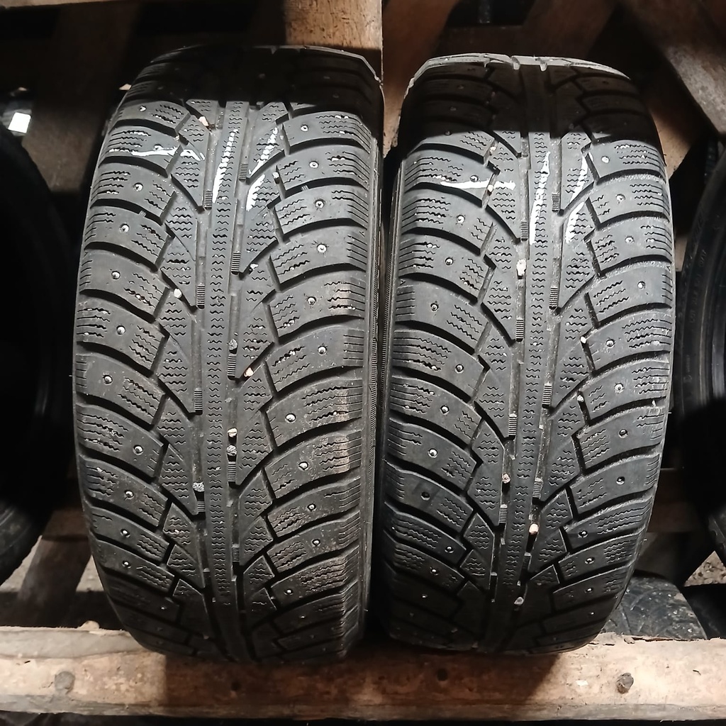 205/55R16 91T Goodride ExtremeFrost Käytetty 6mm DOT-11