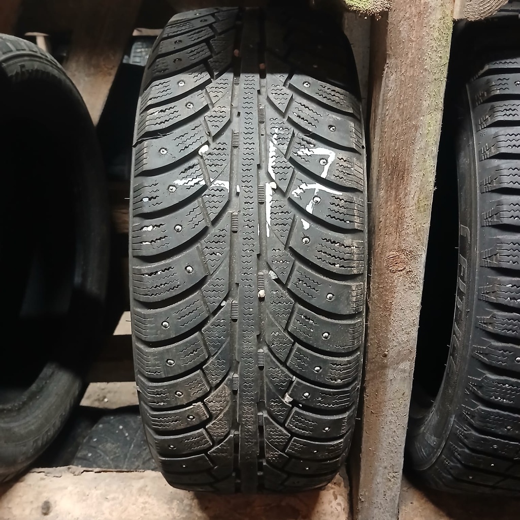 205/55R16 91T Goodride ExtremeFrost Käytetty 6mm DOT-17
