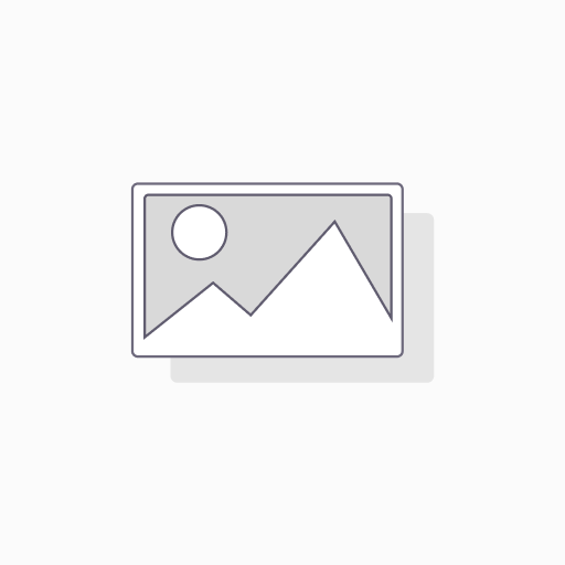 270/80R36 134A/134B TL RT-955 BKT